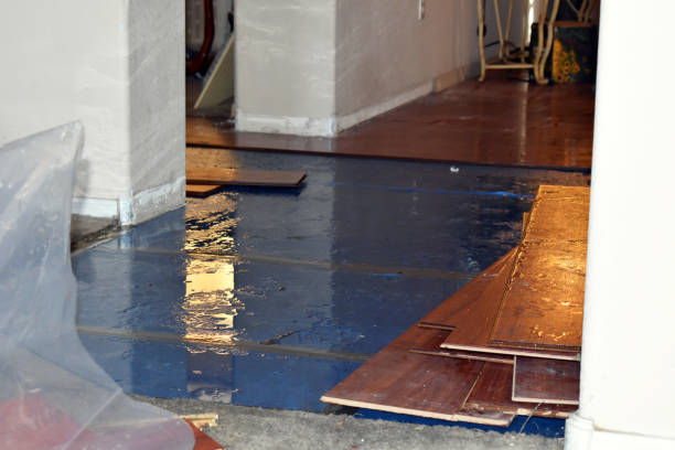 Professional Basement Flood Cleanup technician working in Clark, PA